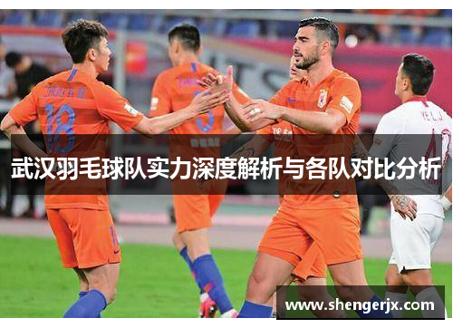 武汉羽毛球队实力深度解析与各队对比分析