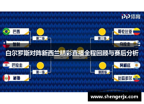 白尔罗斯对阵新西兰精彩直播全程回顾与赛后分析