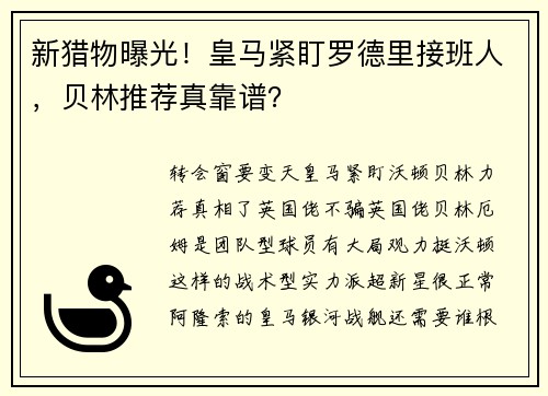 新猎物曝光！皇马紧盯罗德里接班人，贝林推荐真靠谱？